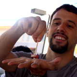 Renato Matos de Lopes Torres Barboza