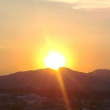 Maria Cristina de Oliveira