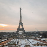 Ana Flavia Moreira Fiorillo