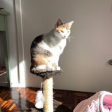 Paula Ximenes Londero