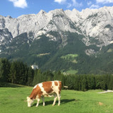 Pedro Ivo Martins Sorio