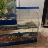 Cristiane Francisca Malaquias