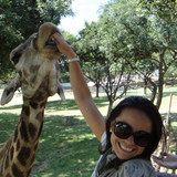 Fernanda Moraes Borges