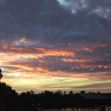 Tamires Beatriz Farias da Silva