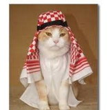 andressa duarte pedra