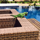 Gabriela S. Jesus Muniz