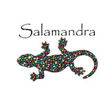 SALAMANDRA ESOTÉRICOS