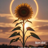 ELIANE PAIM COELHO FRAGA