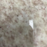 Shandy Zuzilene Brito Bezerra