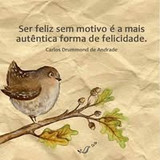 Daniela Marques Nogueira