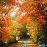 CARMELITA FERREIRA D SOUZA