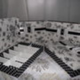 Evandra braga da silva