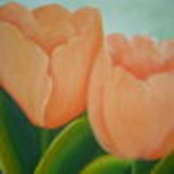 Rogéria Alice  - Ateliê Cor & Vida