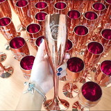 camila santana da silva