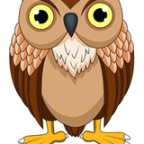 microlink informatica