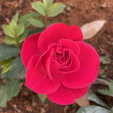 Ir para o perfil do usuário