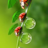 Vania de Oliveira Teixeira