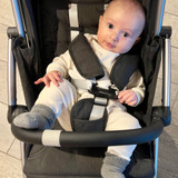 Christiane Lamounier Ferreira