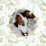 Sônia Aparecida de Souza