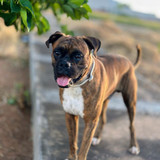 Edjane Ferreira Botelho