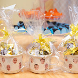 Ana Paula Neves Alves Hoffmann