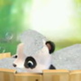 CLEIDE AP DE ANDRADE