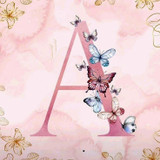 olivia rejane de andrade gomes