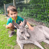 Phelia Sabrina Wenzel