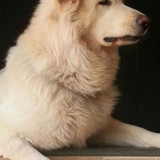 Danielle Franca Antonio