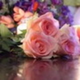 Ateliê La Felicytá