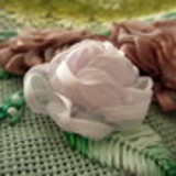 Luciene Chaves Muniz Suzuki