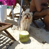 Daiany Jacintha de Carvalho