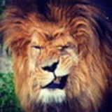 Adalgisa Colombo Flores