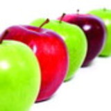 Adriana Daltoé Carvalho