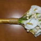 Ana Claudia Calil Rocha