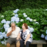 Vera Lucia Gil de Souza Gomes