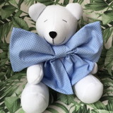 lucilene harteman de souza