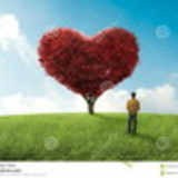 yris laricy gregorio de oliveira