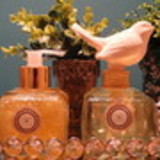 Fernanda Brazileiro de Lima