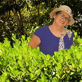 Raquel Carvalhal Barros