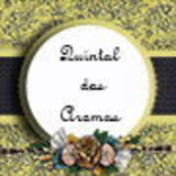 Quintal dos Aromas