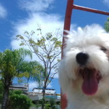 ANA CLAUDIA DE OLIVEIRA