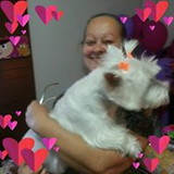 Darlene dos santos melhor