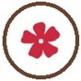 excluido_Papel com Arte Scrapbook