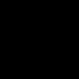 Marcelle Leao Versiani Santiago