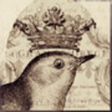 marcielle jarek ijaille