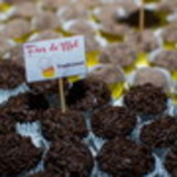 Roberta Patacho Lopes Ferreira