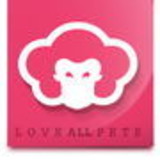 Danilo de Alexandria