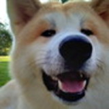 Laís Comério Moraes