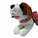 excluido_Modapetshop